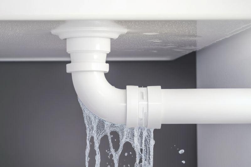 Pipe Leak Repair detail